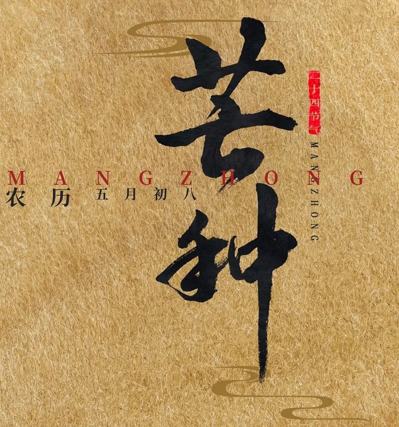 芒种：耕耘时光，不负美好