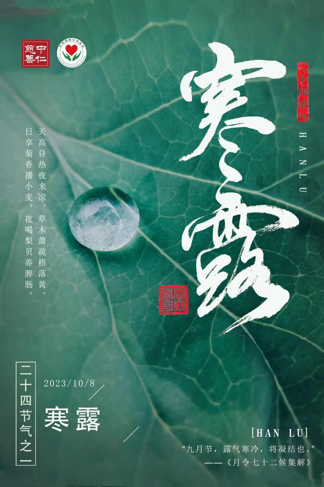 二十四节气寒露丨寒露惊秋晚，朝看菊渐黄