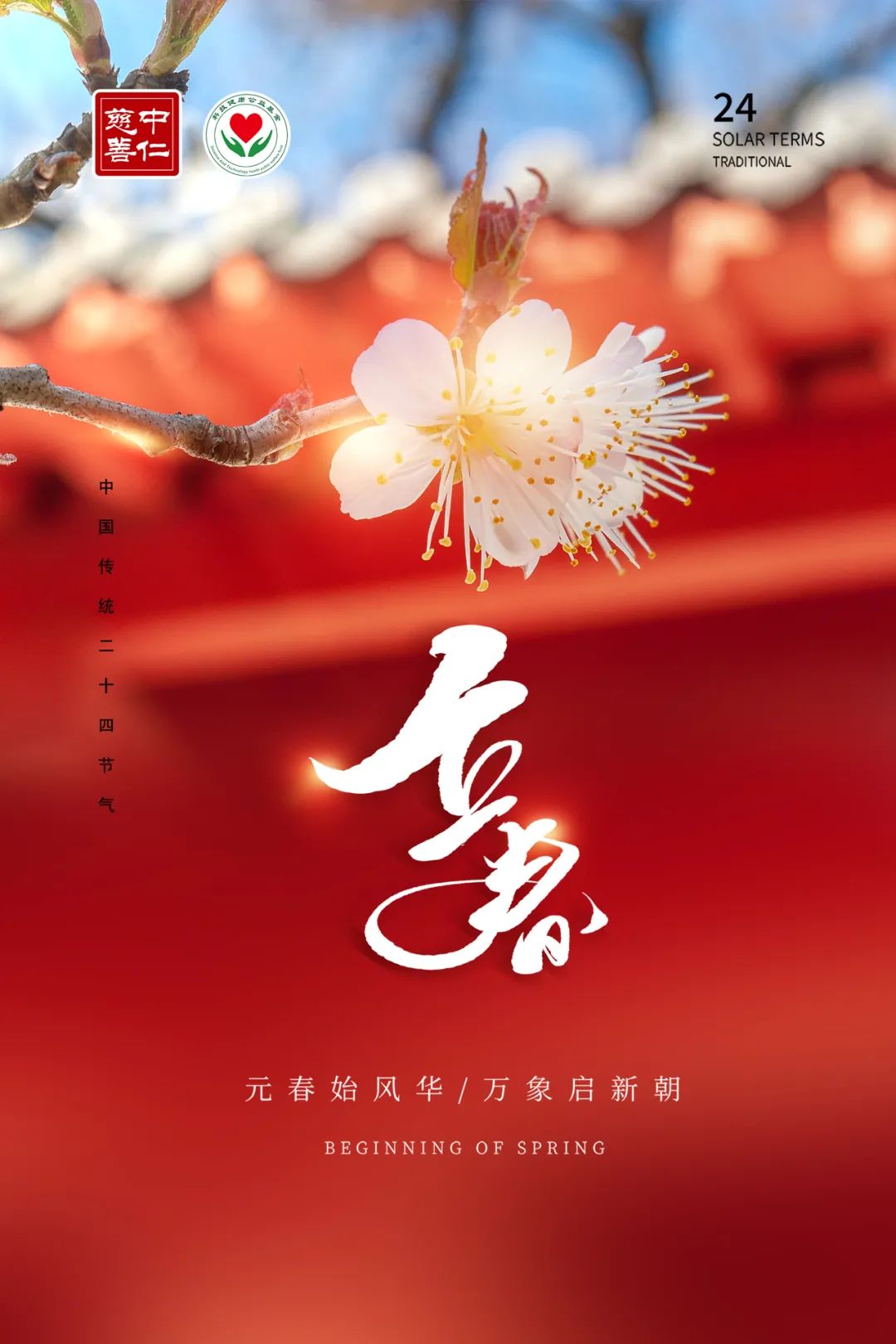 今日立春：春来万物生，万象皆美好