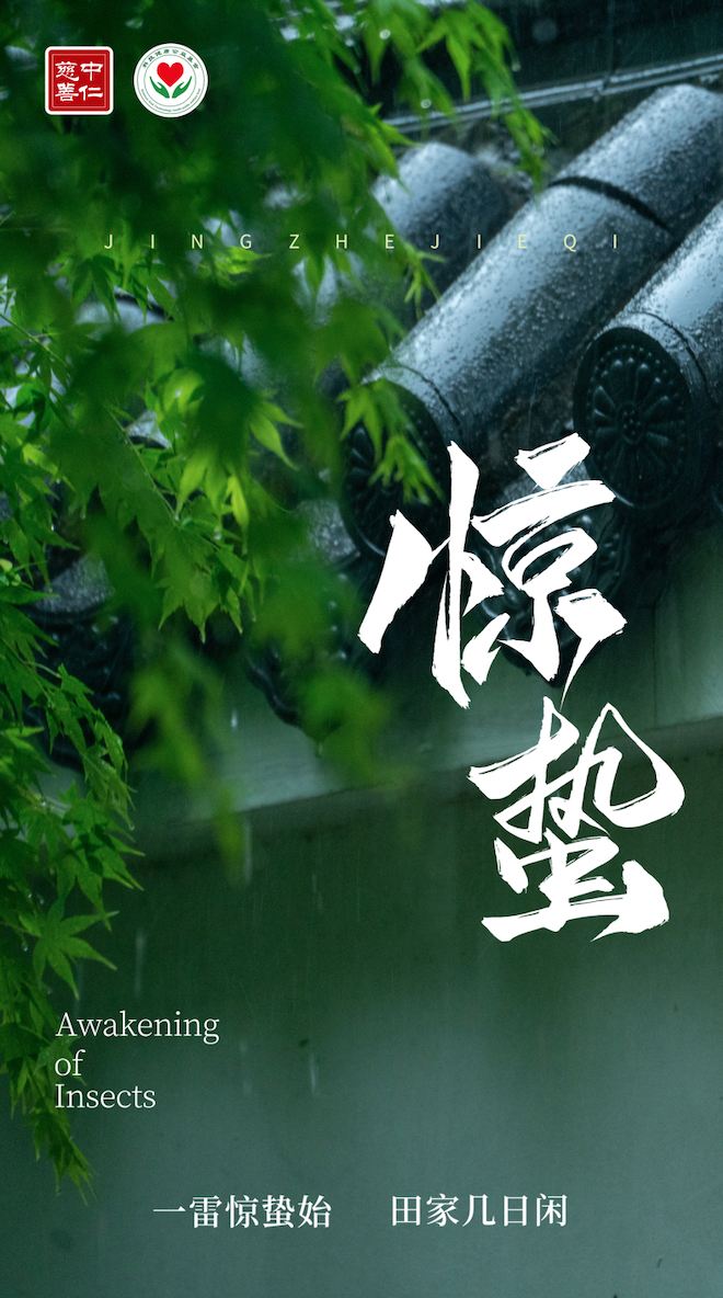 惊蛰丨时至惊蛰，万物生机盎然