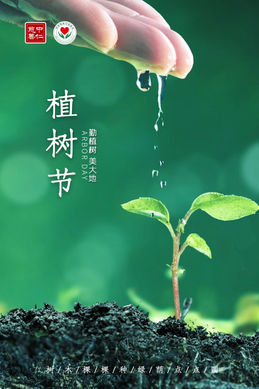 3.12植树节——“植”此青绿 拥抱春天