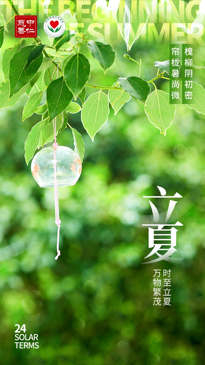 立夏｜春生夏长，万物自此走向繁茂